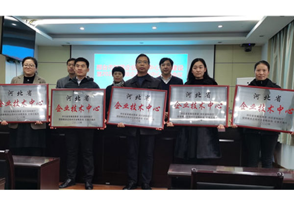 纳科诺尔公司获评河北省企业技术中心 纳科诺尔公司获评河北省企业技术中心